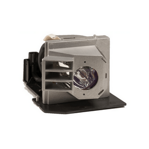 Infocus x10 Replacement Lamp for Projector