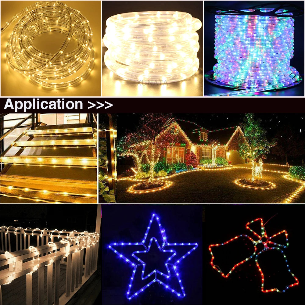 AC 220V Neon Strip LED Strip Waterproof Neon Sign LED Light 