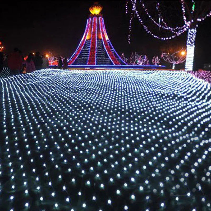 LED Net Christmas Lights 3M X 2M 204LEDS AC110V/220V Led Mes
