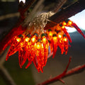 Creative LED Red Chilli String Lights Battery/USB New Year s