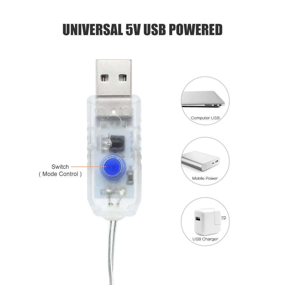 3MX2M LED Waterproof Remote-control 8 Modes Fairy Lights USB