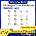 10PCS 5x20/6X30mm Slow Blow Glass Tube Fuse Multiple Current