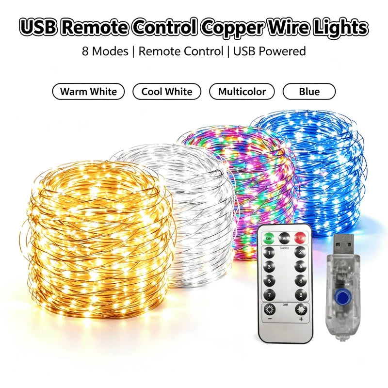 5M/10M/20M/30M USB Led String Light 8Mode Remote Control Lig