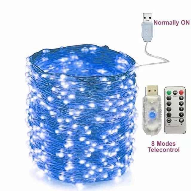 5M/10M/20M/30M USB Led String Light 8Mode Remote Control Lights Fairy Garlands Wedding Christmas Holiday Decor Lamps New Year