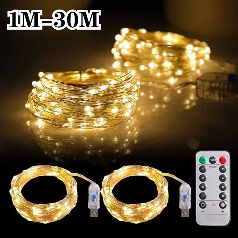 USB LED Christmas String Light 5M/10M/20M/30M Remote Control