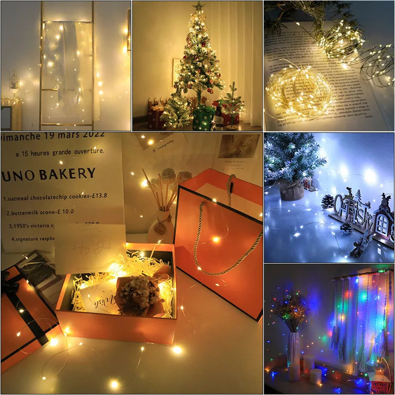 5M/10M/20M/30M USB Led String Light 8Mode Remote Control Lig