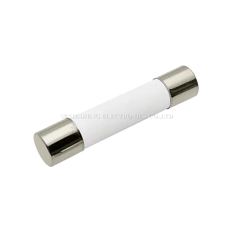 10PCS 5 20/6 30MM Slow-Blow Ceramic Tube Fuse T0.5A 1A 1.6A 