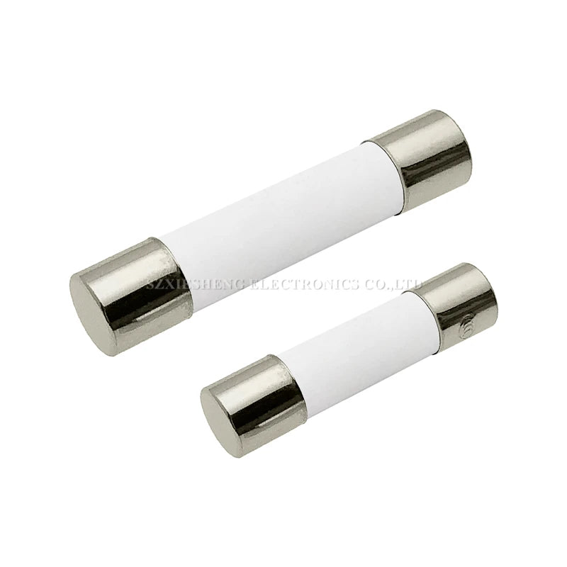 10PCS 5 20/6 30MM Slow-Blow Ceramic Tube Fuse T0.5A 1A 1.6A 