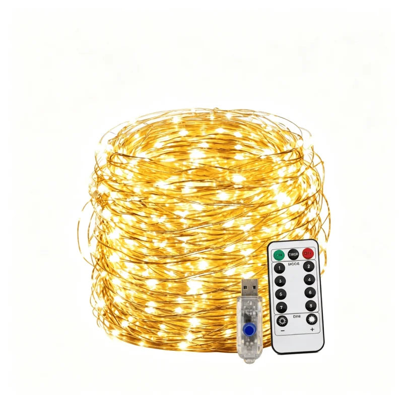 5M/10M/20M/30M USB Led String Light 8Mode Remote Control Lig