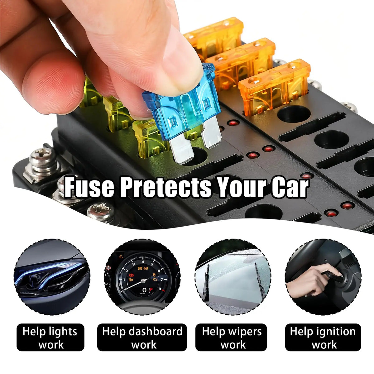 Blade Fuses Automotive Standard & Micro & Mini Fuse with Fus