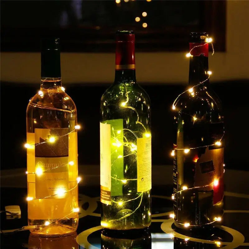 1M 2M 3M 5M Copper Wire LED String lights Holiday lighting F
