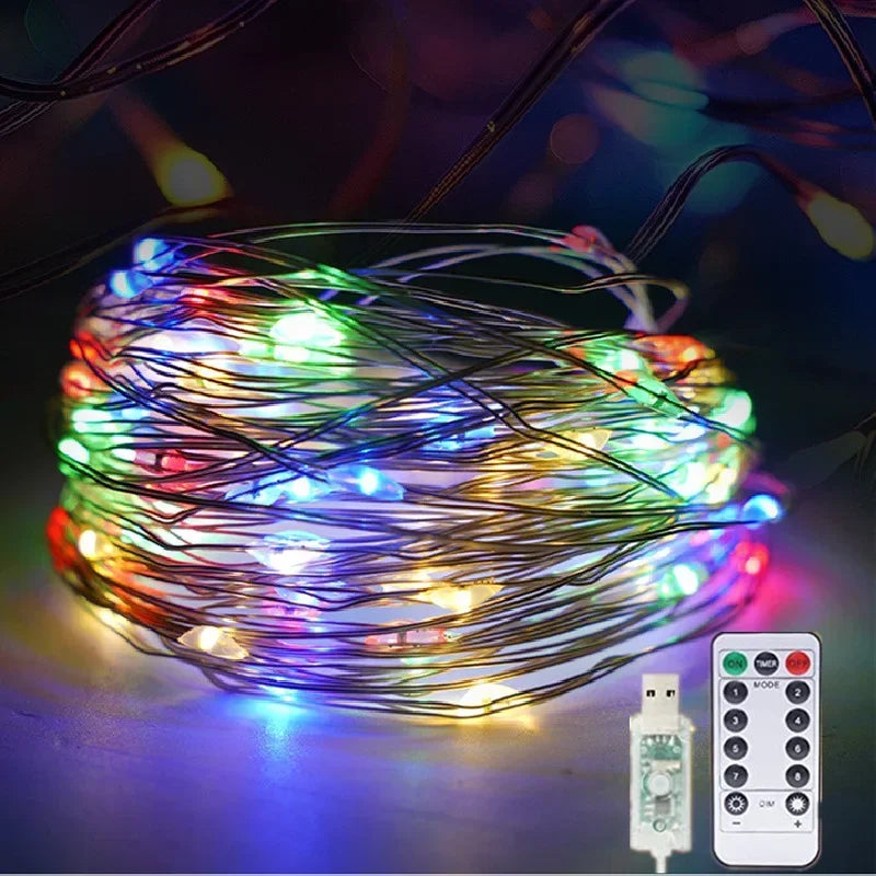 USB LED Christmas String Light 5M/10M/20M/30M Remote Control