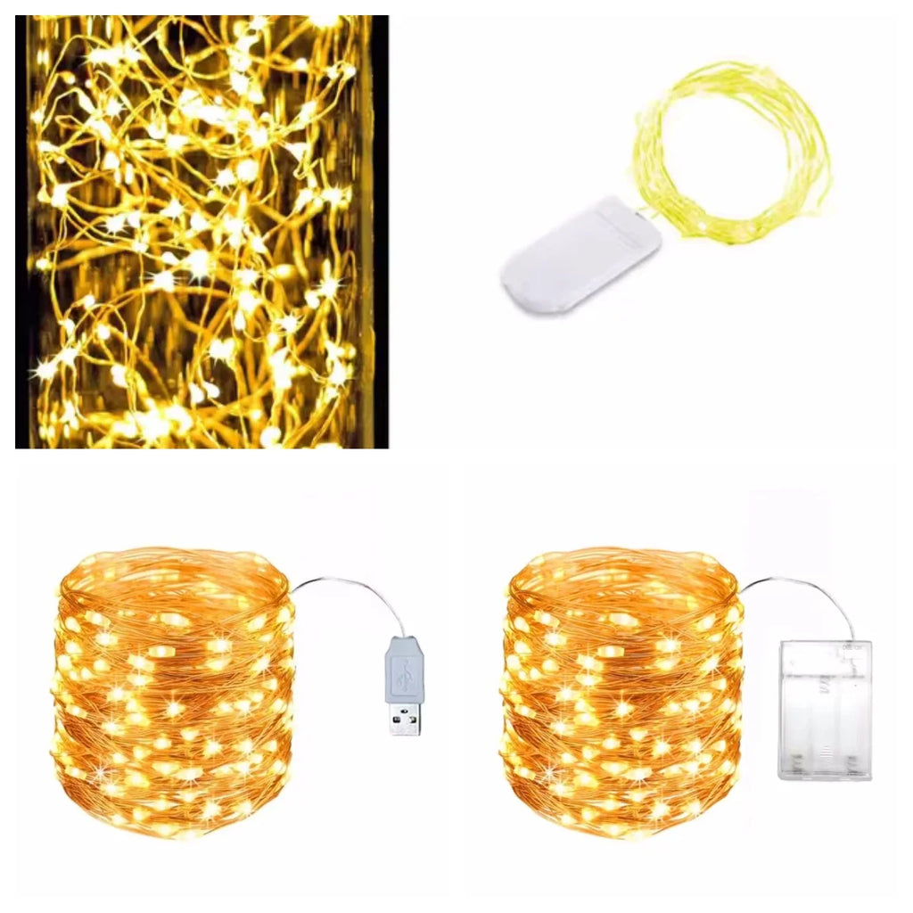 1M 2M 3M 5M Copper Wire LED String lights Holiday lighting F
