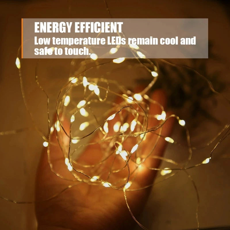 1M 2M 3M 5M Copper Wire LED String lights Holiday lighting F