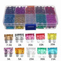50/100Pcs Car Fuses Kit Assorted Auto Truck Standard Blade F