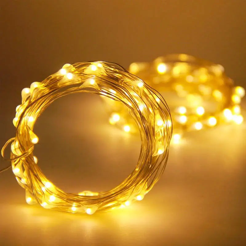 1M 2M 3M 5M Copper Wire LED String lights Holiday lighting F