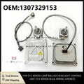 Lamp Ballast Headlight Control Unit Wiring Harness for BMW E93 D1S E92