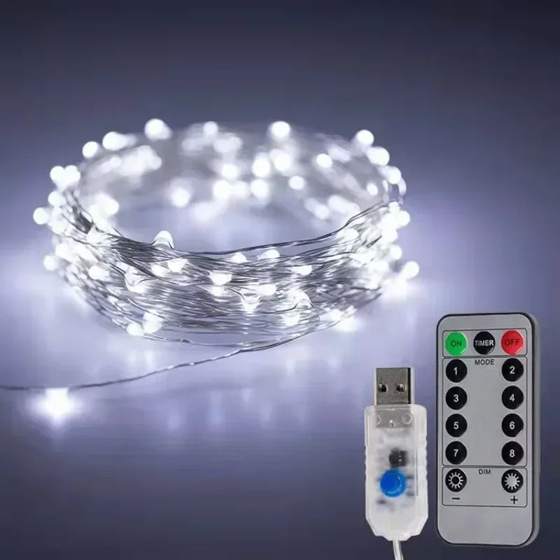 USB LED Christmas String Light 5M/10M/20M/30M Remote Control