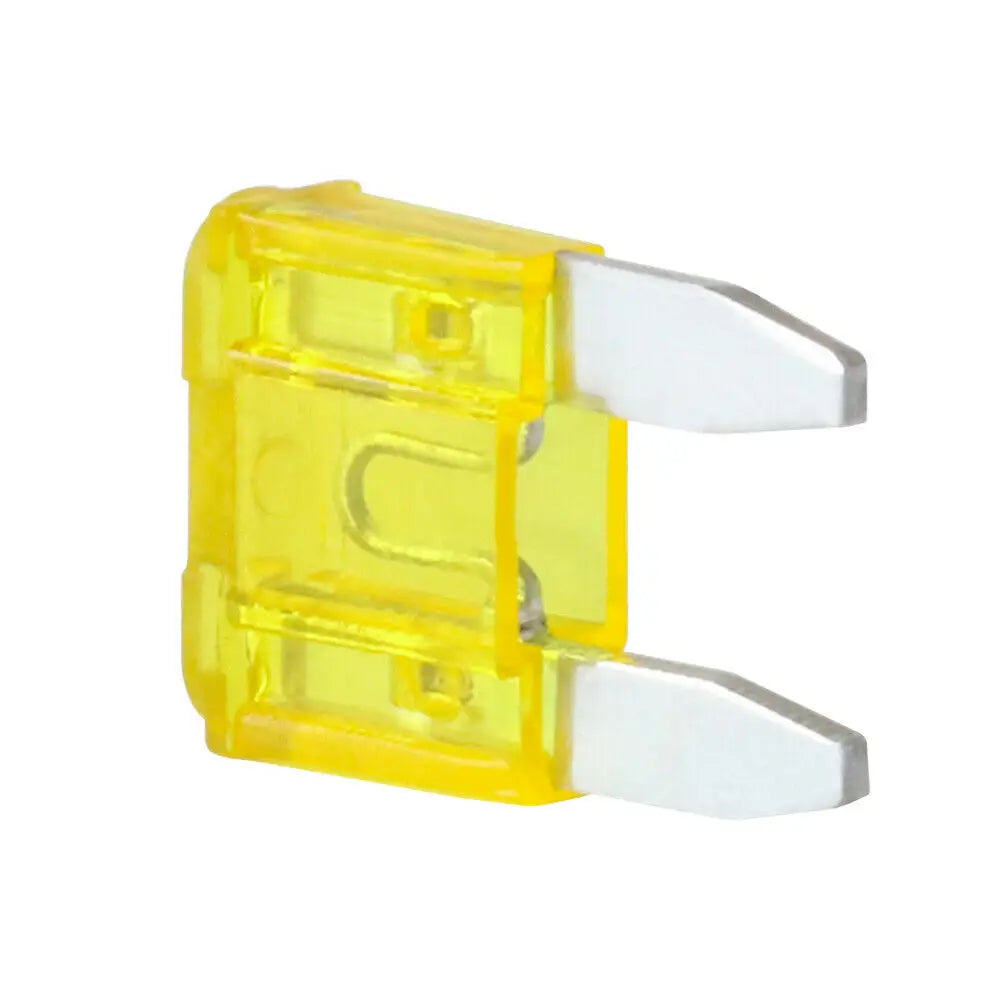 100/50/10pcs Small Mini Car Blade Fuses Zinc Auto Fuse Assor