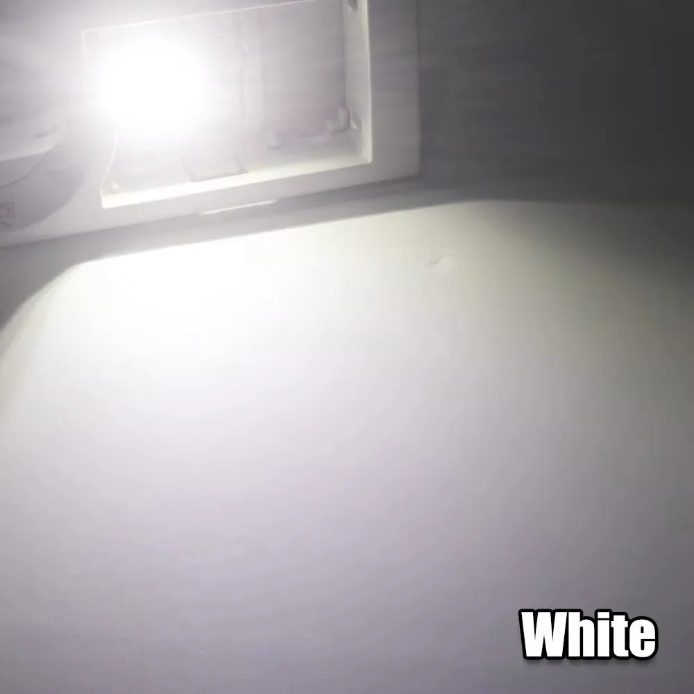 2Pcs MAXGTRS LED C5W C10W 39mm 41mm 42mm LED Festoon Canbus Error Free 6500K White Car Interior Light Reading Dome Trunk Lamp 12