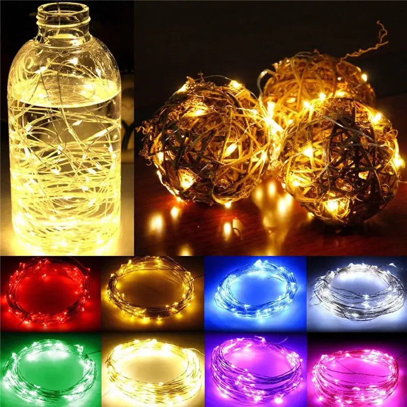 1M 2M 3M 5M Copper Wire LED String lights Holiday lighting F