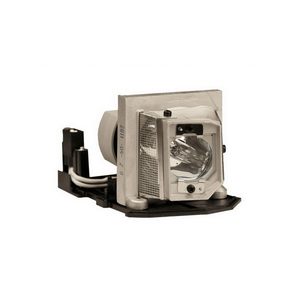 Ricoh 308883 Replacement Lamp for Projector