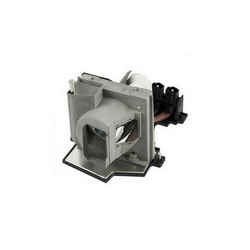Acer EC.J4301.001 Replacement Lamp for Projector